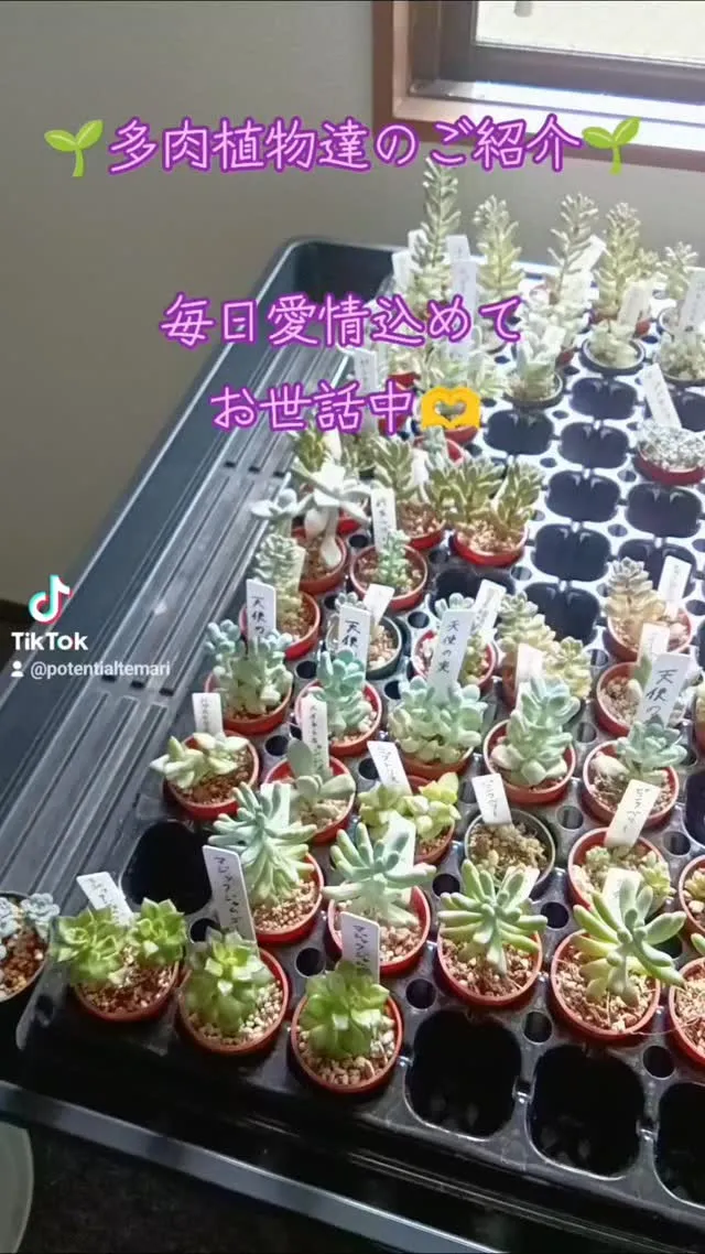 こんにちは😊